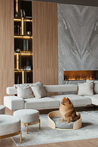 Зона комфорта шпиц