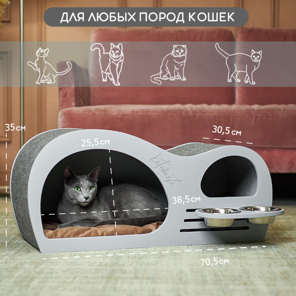 2-1.png 2-1.png