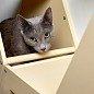 Сота для настенного игрового комплекса для кошек с маленьким круглым окошком, бежевый