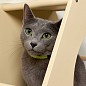 Сота для настенного игрового комплекса для кошек с большим круглым окошком, бежевый