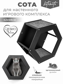 картинка Сота для настенного игрового комплекса для кошек с шестигранным окошком, черный (Сота для настенного игрового комплекса для кошек с шестигранным окошком, черный)