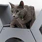 Сота для настенного игрового комплекса для кошек с маленьким круглым окошком, серый